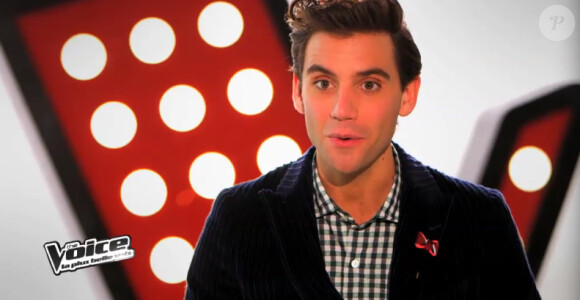 Caroline Savoie dans The Voice 3, le samedi 18 janvier 2014 sur TF1