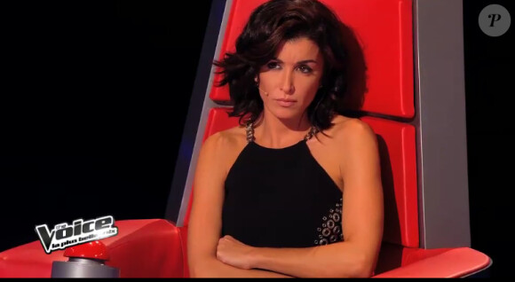 Amir dans The Voice 3, le samedi 18 janvier 2014 sur TF1