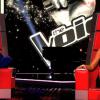 Eliott dans The Voice 3, le samedi 18 janvier 2014 sur TF1