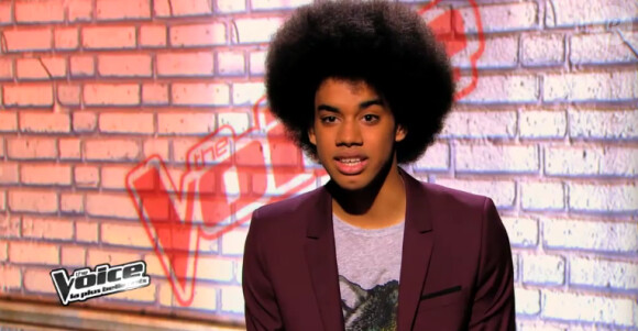 Gwendal dans The Voice 3, le samedi 18 janvier 2014 sur TF1
