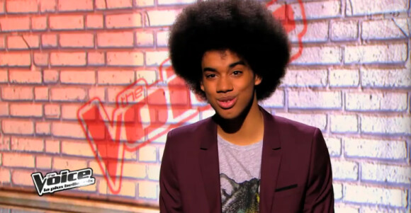 Gwendal dans The Voice 3, le samedi 18 janvier 2014 sur TF1