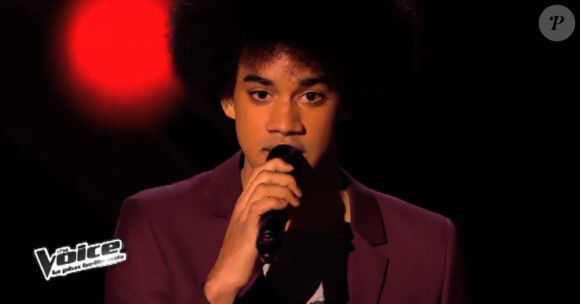Gwendal dans The Voice 3, le samedi 18 janvier 2014 sur TF1