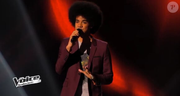 Gwendal dans The Voice 3, le samedi 18 janvier 2014 sur TF1