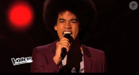 Gwendal dans The Voice 3, le samedi 18 janvier 2014 sur TF1