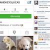 Caroline Receveur dévoile le profil Instagram de son chien Island Receveur