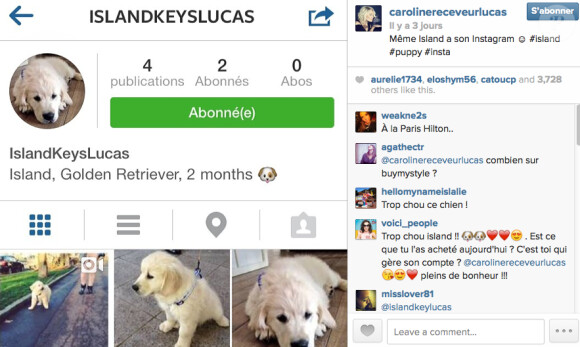 Caroline Receveur dévoile le profil Instagram de son chien Island Receveur