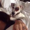 Tito Benattia : le chien de Nabilla et Thomas Vergara a son compte Instagram