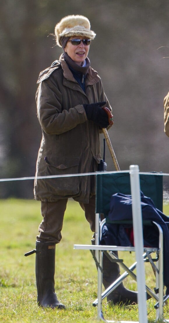 La princesse Anne à Gatcombe Park le 22 mars 2014