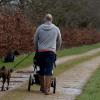 Mike Tindall promenant Mia et les chiens à Gatcombe le 23 mars 2014