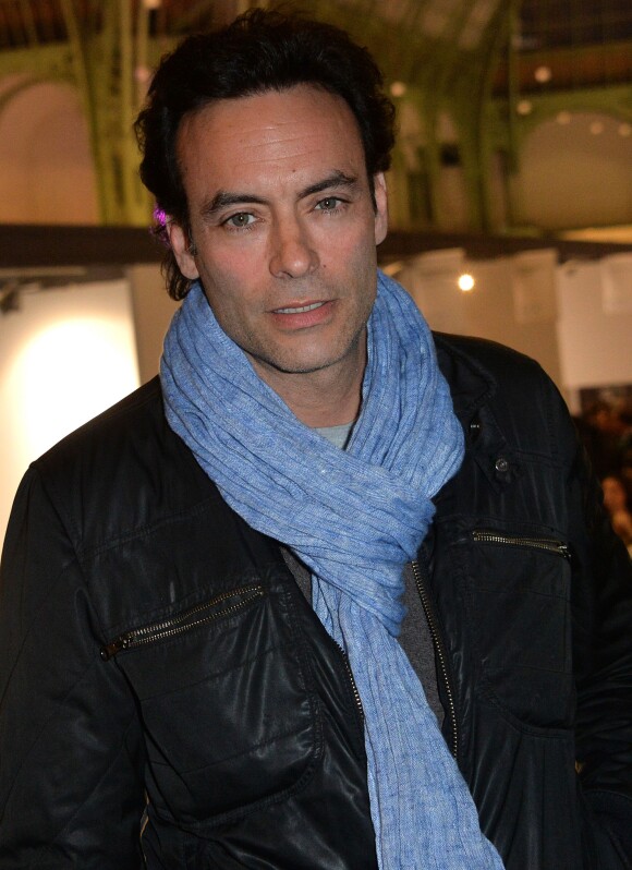 Anthony Delon lors de l'inauguration de l'exposition "Art Paris Art Fair" au Grand Palais à Paris le 26 mars 2014