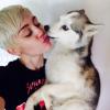 Miley Cyrus, actuellement en tournée dans le cadre son "Bangerz Tour" a appris la mort de son chien Floyd, le 2 avril 2014.