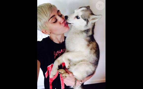 Miley Cyrus, actuellement en tournée dans le cadre son "Bangerz Tour" a appris la mort de son chien Floyd, le 2 avril 2014.