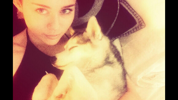 Miley Cyrus : La mort de son chien, un coup dur en pleine tournée