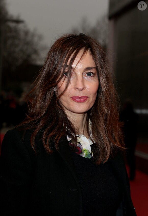 Anne Parillaud lors de la présentation du film en compétition "Le Dernier Diamant" dans le cadre du 6ème Festival International du Film Policier de Beaune le 3 avril 2014