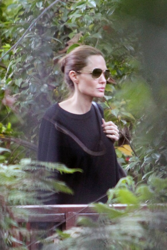 Angelina Jolie quittant l'hôtel Bel Air à Beverly Hills le 6 avril 2014, avec ses jumeaux Knox et Vivienne. Elle est arrivée dans cet établissement la veille avec Brad Pitt