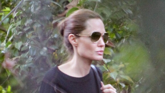 Angelina Jolie et Brad Pitt : Escapade presque en amoureux pour les fiancés