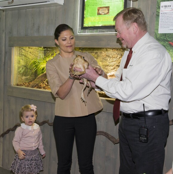 La princesse Victoria de Suède, tenant un spécimen d'un kilo, inaugurait avec sa fille Estelle le 16 avril 2014 à l'aquarium de Skansen, à Stockholm, une exposition sur les grenouilles.
