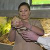 La princesse Victoria de Suède, tenant un spécimen d'un kilo, inaugurait avec sa fille Estelle le 16 avril 2014 à l'aquarium de Skansen, à Stockholm, une exposition sur les grenouilles.