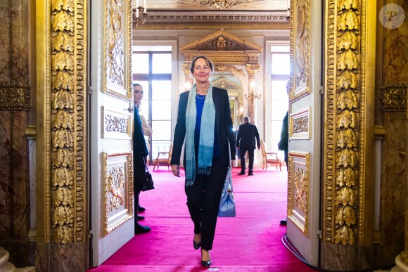 Ségolène Royal au Sénat à Paris, le 9 avril 2014.