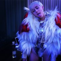 Miley Cyrus, déchaînée et provoc' : Sa soirée avec un pénis géant