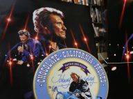 Johnny Hallyday : L'incroyable collection d'un fan adjugée une petite fortune