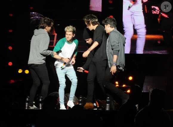 Le groupe One Direction en concert au stade Morumbi à Sao Paulo. Le 10 mai 2014.