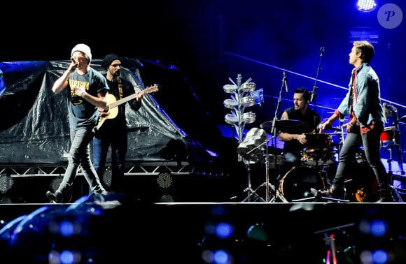 One Direction à Sao Paulo, le 10 mai 2014.