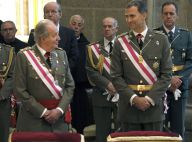 Felipe et Juan Carlos d'Espagne : En uniforme mais détendus, un moment spécial
