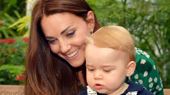 Prince George, 1 an : Un anniversaire à grandes oreilles et en famille