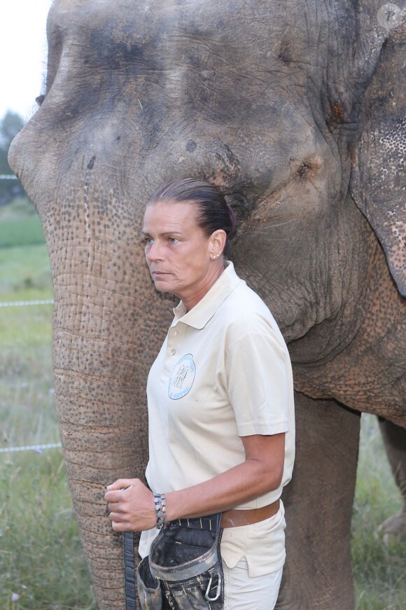 Exclusif - La princesse Stéphanie de Monaco fête le 1er anniversaire de l'arrivée des éléphantes Baby et Népal au domaine de Fontbonne sur la commune de Peille, le 12 juillet 2014.