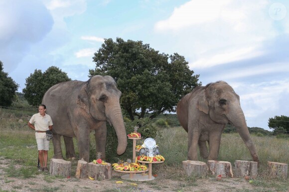 Exclusif - La princesse Stéphanie de Monaco fête le 1er anniversaire de l'arrivée des éléphantes Baby et Népal au domaine de Fontbonne sur la commune de Peille, le 12 juillet 2014.