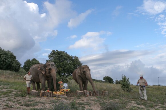 Exclusif - La princesse Stéphanie de Monaco fête le 1er anniversaire de l'arrivée des éléphantes Baby et Népal au domaine de Fontbonne sur la commune de Peille, le 12 juillet 2014.
