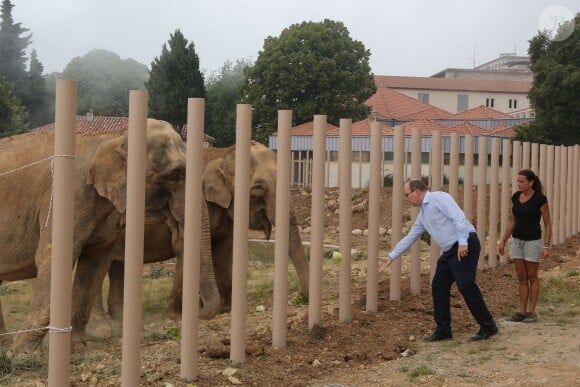 Exclusif - Arrivée des éléphantes Baby et Népal au domaine de Fontbonne sur la commune de Peille, le 13 juillet 2013.