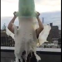 Olivia Wilde : Son Ice Bucket Challenge à base de lait maternel...