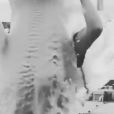 Olivia Wilde se déverse du lait maternel pendant son défi Ice Bucket Challenge. (capture d'écran)