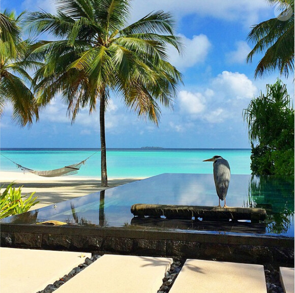 ''Le website disait que c'était une villa privée #squatteur'' Photo des vacances aux Maldives d'Example et sa femme Erin McNaught, enceinte de leur premier enfant, en septembre 2014, du 17 au 24. Publiée sur le compte Instagram de l'ancienne Miss Australie.