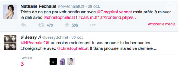 Nathalie Péchalat favorisant un tweet acerbe envers Alizée, le 31 octobre 2014.