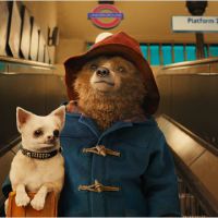 ''Paddington'' : L'ours qui va vous faire craquer