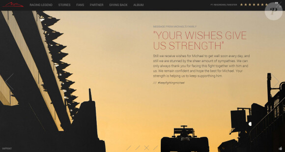 Le site internet de Michael Schumacher a été réactivé le 13 novembre 2014, à l'occasion des 20 ans de son premier titre de champion du monde de Formule 1, avec un message de la famille à destination des fans