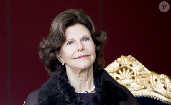 La reine Silvia de Suède reçoit le prix Martin Buber à Kerkrade, aux Pays-Bas, le 25 novembre 2014.