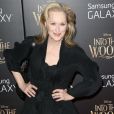  Meryl Streep (en Paule Ka) lors de la premi&egrave;re d'Into The Woods au Ziegfeld Theatre, New York, le 8 d&eacute;cembre 2014. 