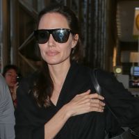 Angelina Jolie : Un nouveau film avec Brad Pitt en vue...