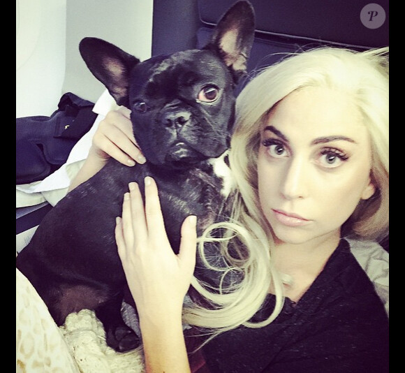 Lady Gaga a ajouté une photo sur son compte Instagram, le 12 février 2015.