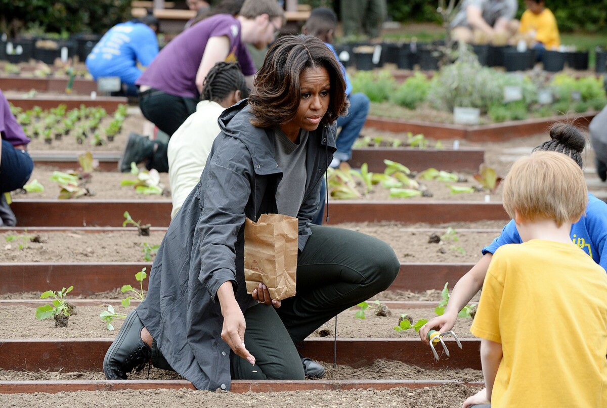 Photo : Michelle Obama plante dans le potager de la Maison Blanche, le ...