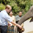  Le prince William rencontre Ran Ran, 13 ans, dans le sanctuaire des éléphants de  Xishuangbanna, dans la province du Yunnan, le 4 mars 2015 lors de sa visite officielle en Chine.  