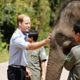  Le prince William rencontre Ran Ran, 13 ans, dans le sanctuaire des éléphants de  Xishuangbanna, dans la province du Yunnan, le 4 mars 2015 lors de sa visite officielle en Chine.  