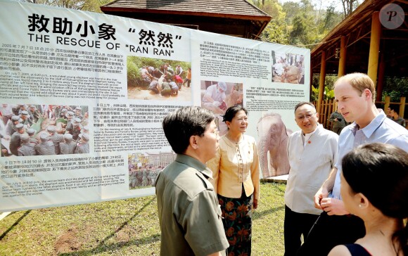 Le prince William rencontre le personnel s'occupant de l'éléphante Ran Ran dans le sanctuaire des éléphants de Xishuangbanna, dans la province du Yunnan, le 4 mars 2015 lors de sa visite officielle en Chine.