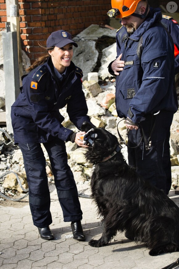 La princesse Marie de Danemark rencontre les chiens secouristes sur le site de la DEMA (Agence danoise de gestion des urgences) à Hedehusene le 13 mars 2015.