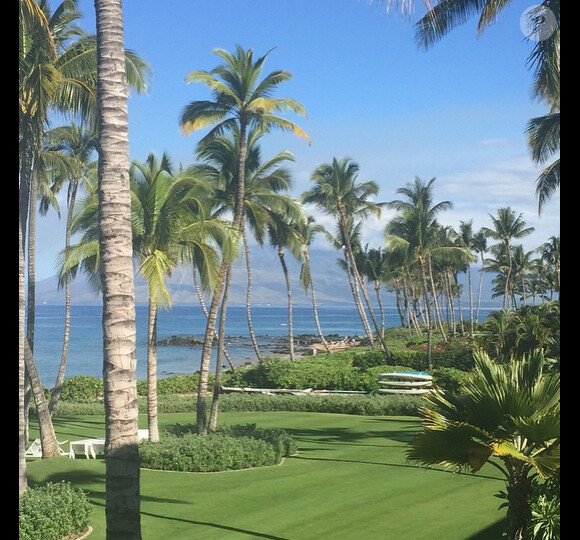Rob Lowe en vacances à Hawaii avec sa femme Sheryl Berkoff a ajouté une photo à son compte Instagram, le 30 mars 2015