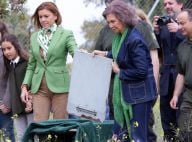 Sofia d'Espagne : Un vent de liberté, loin de la double vie de Juan Carlos